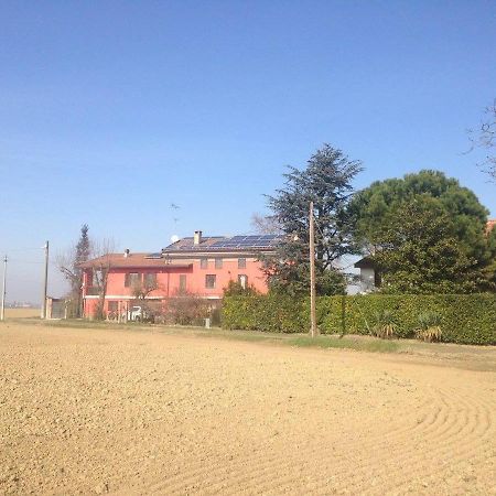 Agriturismo E Az. Agricola Ma.Mi Sale Dış mekan fotoğraf